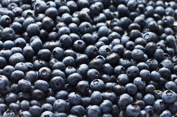 Fresh blueberry background texture. Close up.