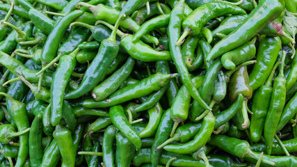 The shape, pattern and texture of a pile of large fresh green chilies. Pile of chilies at the market. spicy taste. Natural pattern and texture background. Can be used for graphic design or banner back