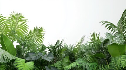 Lush tropical paradise, vibrant exotic foliage bursting with life, intricate leaf patterns, verdant jungle canopy, isolated botanical wonderland, hyperrealistic detail, pure white backdrop,