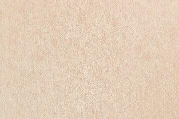 A sheet of beige recycled cardboard texture as background