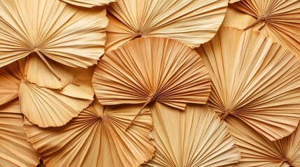 Close-up of intricately folded dried palm leaves displaying a beautiful fan shape, showcasing natural textures and earthy colors.