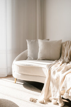 Cozy modern living room with soft sofa and warm sunlight streaming in