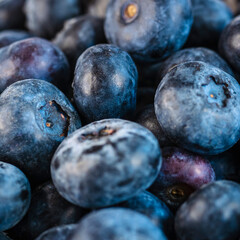Macro of fresh blueberry berries. Blueberries close-up. Vaccinium myrtillus.