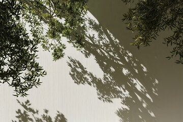 Dappled Tree Shadows on a Light-Colored Surface with Textured Foliage and Luminous Background