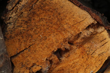 Cracked old wooden desk texture abstract background
