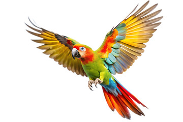 Fototapeta premium flying parrot isolated on white background as transparent. PNG. AI GENERATED.