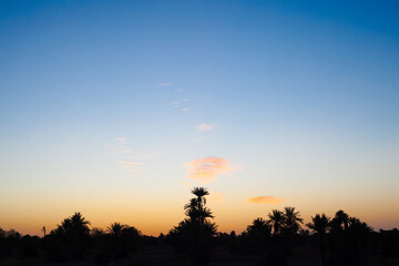 sunrise in the desert