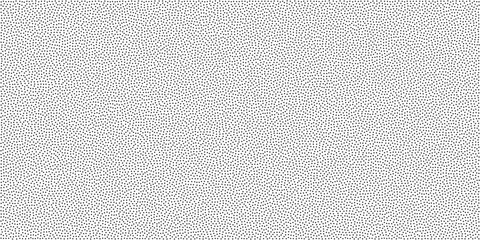 Grain noise background of white black dust pattern, abstract vector. Grainy noise background with dots pattern and organic leather texture