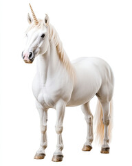 Obraz premium Majestic unicorn standing gracefully against a white background.