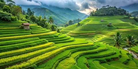 Fotobehang Stunning Rice Terraces: Lush Green Landscape, Candid Photography © chaowalit