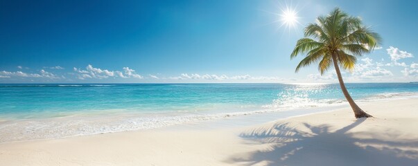 Obraz premium Relaxing palm tree scene on white sandy beach tropical paradise nature serene view coastal bliss