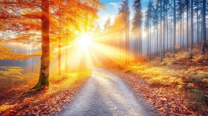 Peaceful trail in a forest, dappled sunlight filtering through leaves, a tree leaning slightly on the left.
