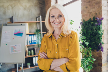 Photo of positive good mood lady specialist dressed shirt smiling arms crossed indoors workstation...