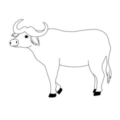 African Buffalo or Cape buffalo. Cattle. Vector stock illustration. Isolated on white background. 