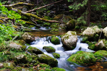 waterfall in the forest