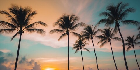 Fototapeta premium Spectacular tropical sunset panorama with silhouetted palm trees and radiant sun.