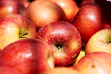 Pink-red large apples. Apple background.