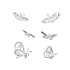 Line drawing. Set of butterflies in line art style.