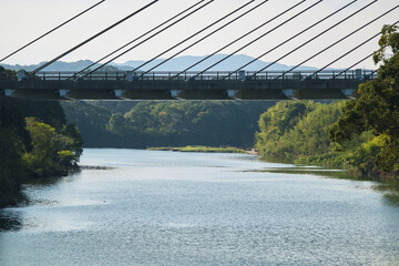 新曽木大橋と川の風景