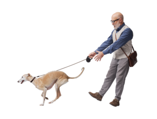 Mature man walking a disobedient dog