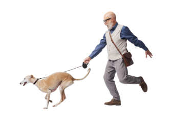 Mature man walking a disobedient dog