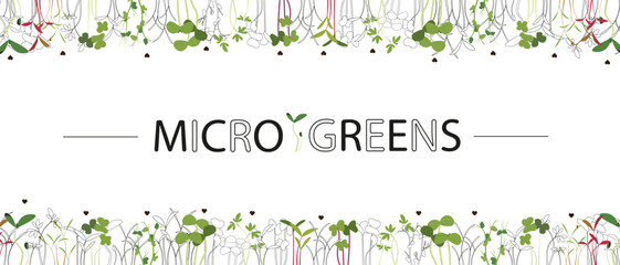 Vector frame with microgreens and elegant typography. Ideal for eco projects, packaging, advertising, healthy food