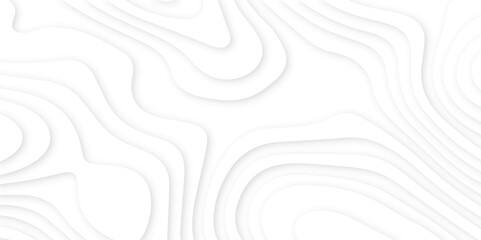 Fototapeta premium Abstract White paper cut background with lines.3d realistic papercut decoration textured with wavy layers. modern wallpaper texture and 3d realistic design use for banner flyers, posters. 