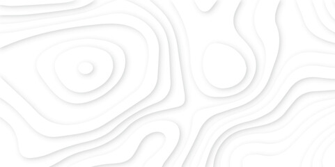 Abstract White paper cut background with lines.3d realistic papercut decoration textured with wavy layers. modern wallpaper texture and 3d realistic design use for banner flyers, posters.	