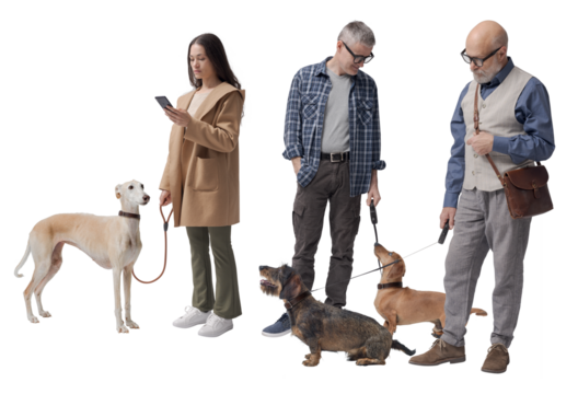 Pet owners walking their dogs