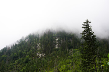 Mountains
