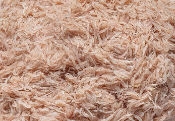Texture of baby shrimps in Vietnam.