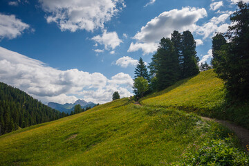 Discover serene rolling green hills beneath a clear blue sky in the Italian Alps inviting...