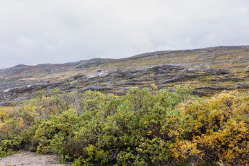Naklejka premium Hills and mountains on the Arctic Circle Trail which links Kangerlussuaq and Sisimiut, Greenland