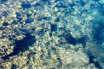 Pristine Underwater View of a Rocky Seabed. Crystal-clear water reveals the intricate details of the rocky seabed below.
