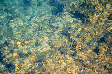 Crystal Clear Waters. Sunlight illuminates the rocky seabed through the crystal-clear water, revealing the intricate textures and colors beneath the surface.