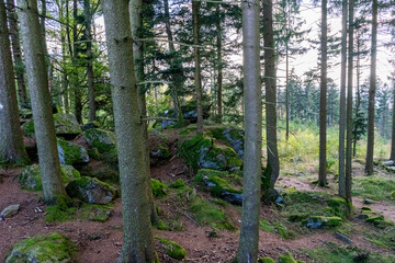 Hiking on the Hadriwa High Path in the Bavarian Forests Germany.