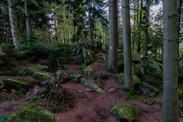 Hiking on the Hadriwa High Path in the Bavarian Forests Germany.
