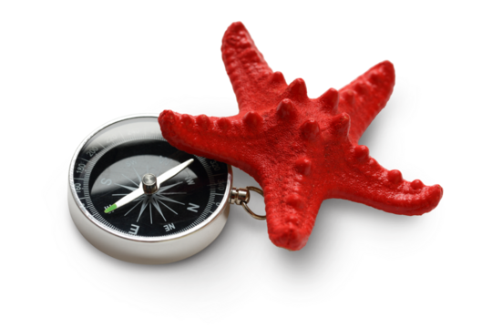 Compass and seastar on white