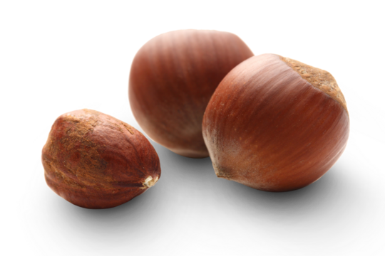 Whole and cracked hazelnuts isolated on white