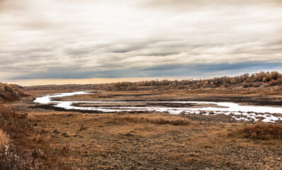 landscape with snow and trees
