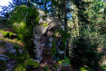 Hiking on the Hadriwa High Path in the Bavarian Forests Germany.