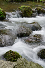 上賀茂神社境内を流れる川の風景