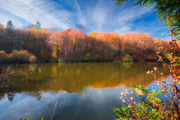 Autumn colorful foliage over lake with beautiful woods in red and yellow color. Bakony Forest and Mountain, Pisztrangos Lake, Hungary