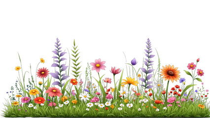 Beautiful spring flowers bloom in a lush green meadow under a clear blue sky