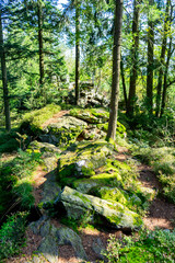 Fototapeta premium Hiking on the Hadriwa High Path in the Bavarian Forests Germany.