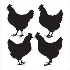set of vector different types of chicken silhouette