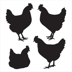 set of vector different types of chicken silhouette