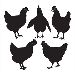 set of vector different types of chicken silhouette