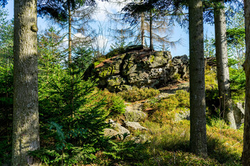 Hiking on the Hadriwa High Path in the Bavarian Forests Germany.