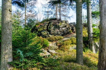 Hiking on the Hadriwa High Path in the Bavarian Forests Germany.